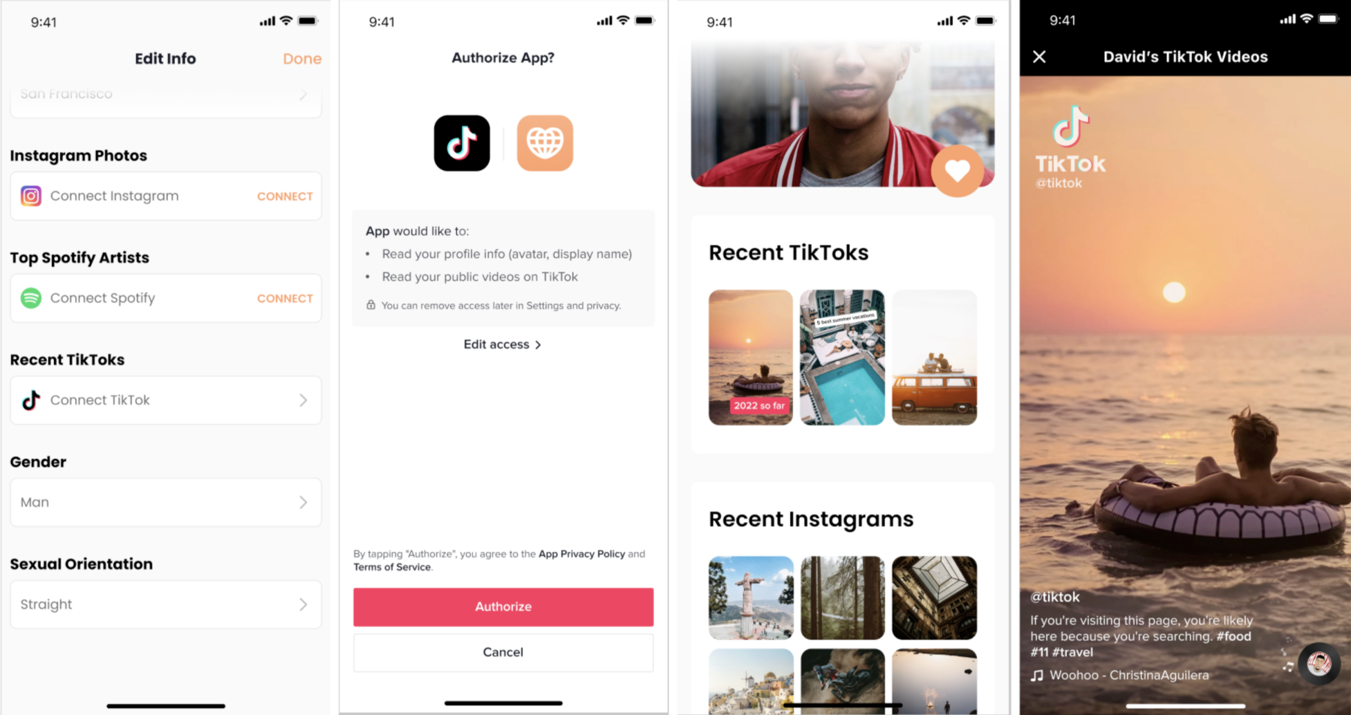 TikTok Embed – Documentation –